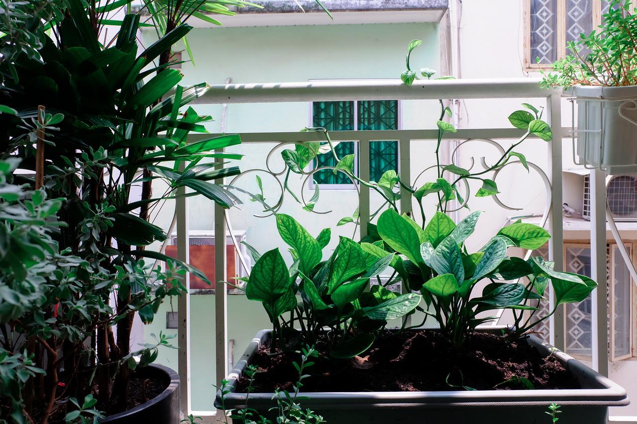 Magari Homestay Ho-Chi-Minh-Stadt Exterior foto